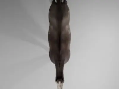 Horse - 3D Model Low-poly 3D model