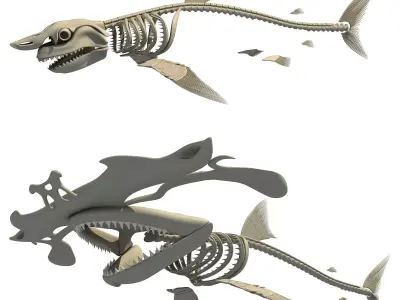 Set of Sharks Skeletons 3D model