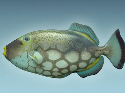 Trigerfish fish flying in sky 3D model