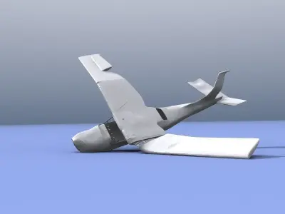 Plane Wreck 3D model