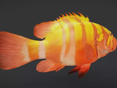 Realistic Neptune Grouper Animated 3D model