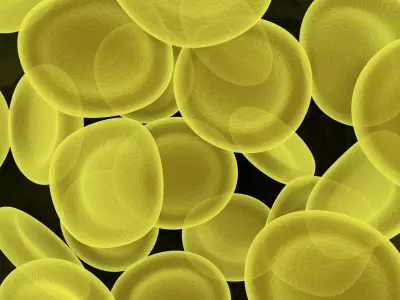 Spider Blood Cells In Segment 3D model