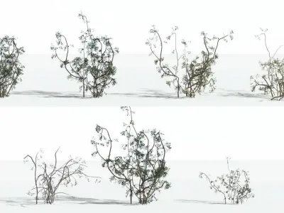 EVERYPlant Baiera 1 --14 Models-- 3D model