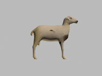 sheep LOW POLY 3D model