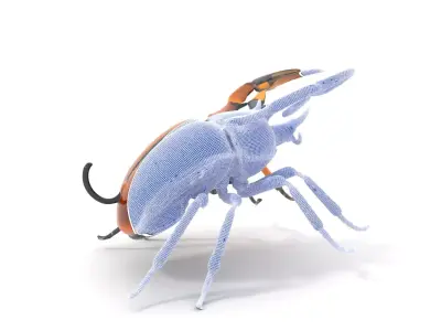 Copper Beetle model pack Low-poly 3D model