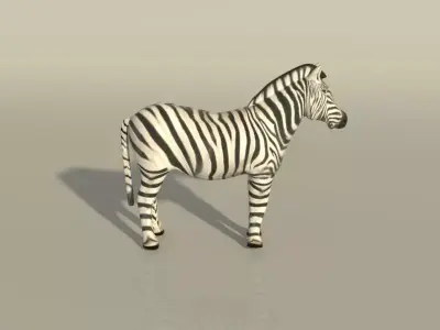 Zebra 3D model