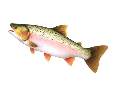 Low-Poly Rainbow Trout Animated Low-poly 3D model
