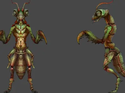 Insect Characters Low-poly 3D model