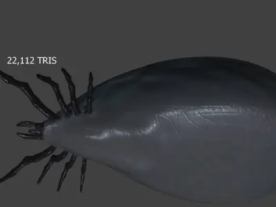 well fed tick Low-poly 3D model