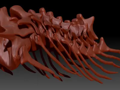 TRex Neck Set Skeletons 3D model