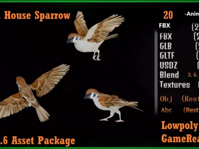 Asian House Sparrow Bird Low-poly 3D model