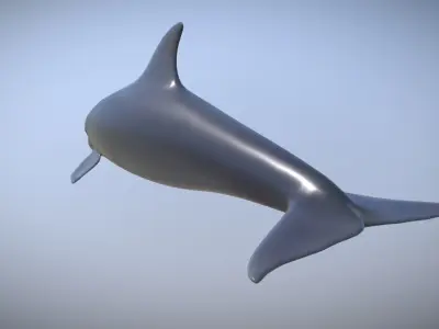 Dolphin Low-poly 3D model
