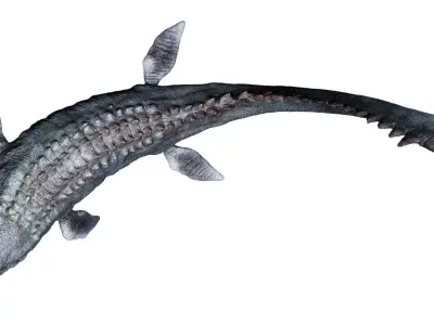 Mosasaurus 3D model
