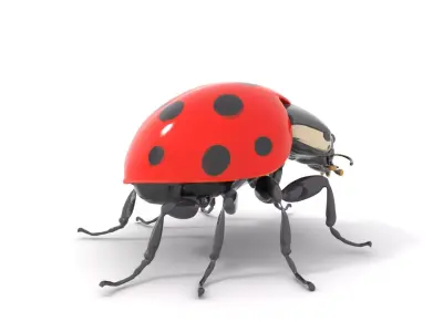 Vibrant Ladybug model pack Low-poly 3D model