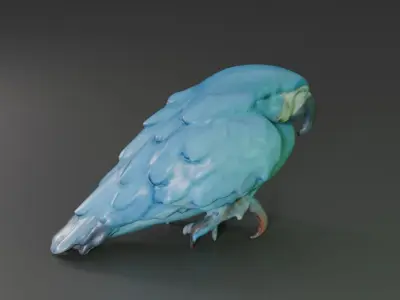 blue macaw 3D model