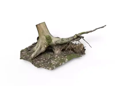 Forest Tree Stump 4K -Part 6- Free low-poly 3D model