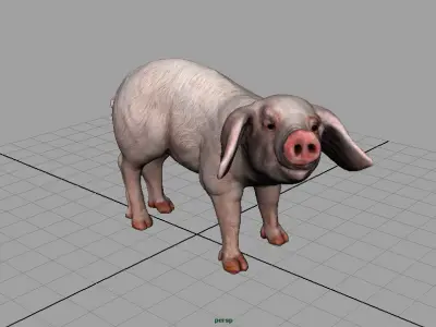 REALISTIC PIG Low-poly 3D model