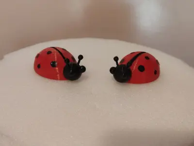 Ladybug 3D print model
