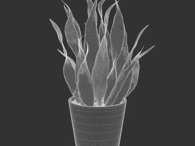  Short Snake Plant Potted Plant Model 
