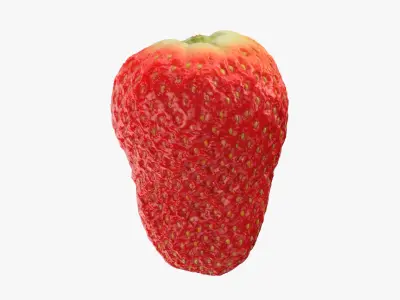 Strawberry Without Stem 02 3D model