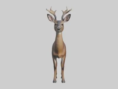 Roe deer Low-poly 3D model