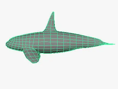Low Poly Killer Whale Low-poly 3D model
