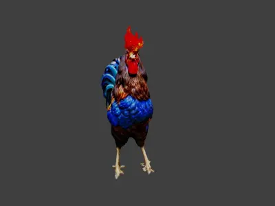 Cockerel Chicken Low-poly 3D model