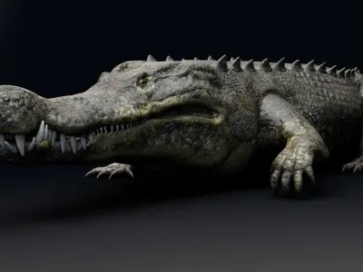 Dinosaur Deinosuchus - Crocodile Low-poly 3D model
