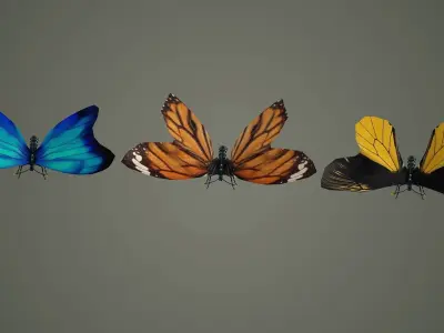 butterfly antenna wing insect fly wildlife summer sky  3D model