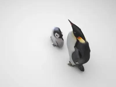 Penguins 3D model
