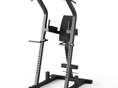 ATX Bodyweight Multi Tower 3D model