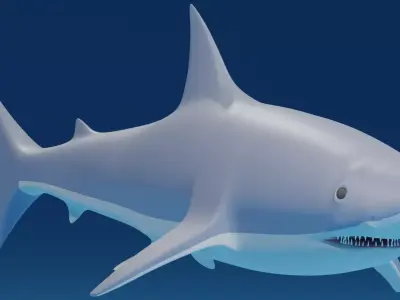 Cartoon Great White Shark 3D model