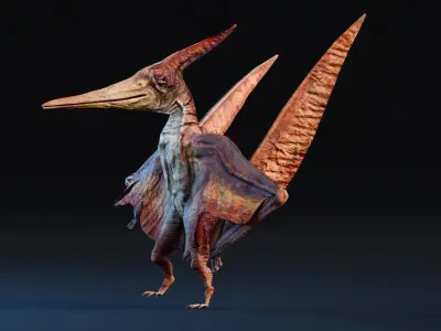 Low poly Realistic Dinosaur - Pteranodon Low-poly 3D model