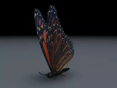Orange Butterfly 3D model