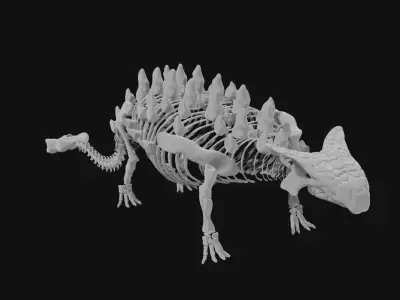 Ankylosaurus skeleton 3D model