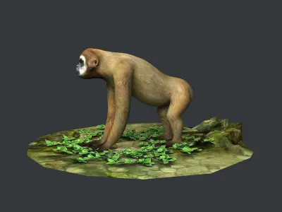 Gibbons apes omnivores apes mammals 3D model