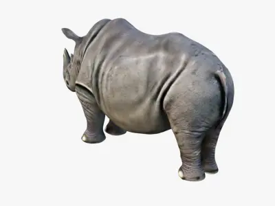Rhino Free 3D model