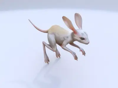 Jerboa 3D model