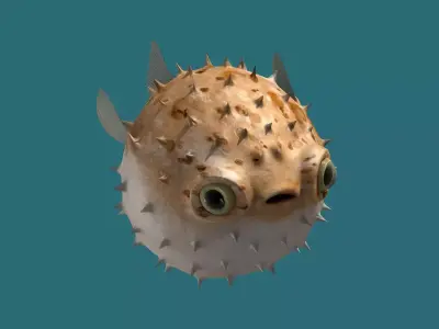 Puffer fish animated Low-poly 3D model