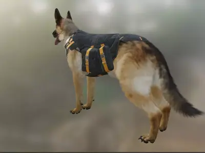 Dog   jerman seaford  3D model