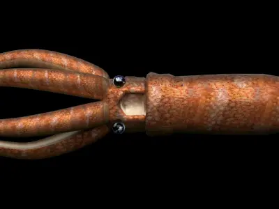 Squid octopus Low-poly 3D model