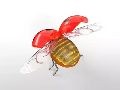Ladybug insect Low-poly 3D model
