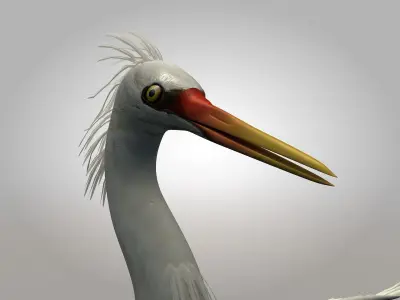 Egretta eulophotes Egret Bird Low-poly 3D model