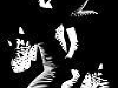 Benggai cardinal marine fish Low-poly 3D model