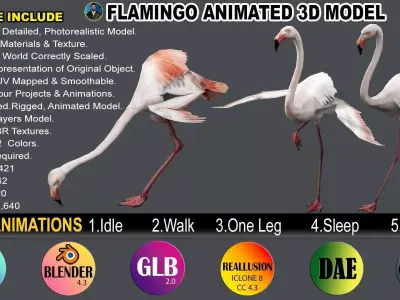 FLAMINGO RIGGED ANIMATED 5 Low-poly 3D model