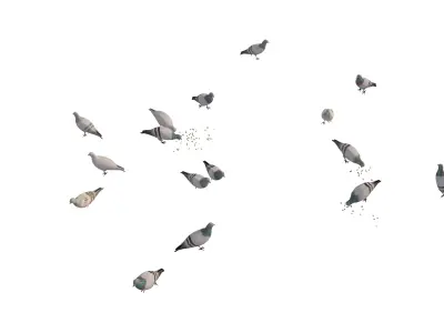 Animated White Dove  Low-poly 3D model