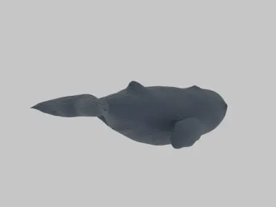 Whale - Scan Of A Clay Whale  Low-poly 3D model