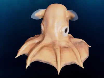 Grimpoteuthis - Dumbo Octopus - Ver 2024  Low-poly 3D model