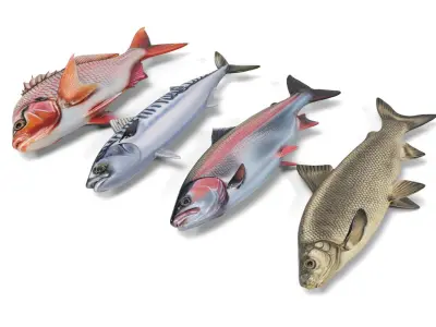 Fish set Low-poly 3D model