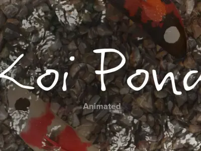 Yin Yang Koi Pond Free low-poly 3D model